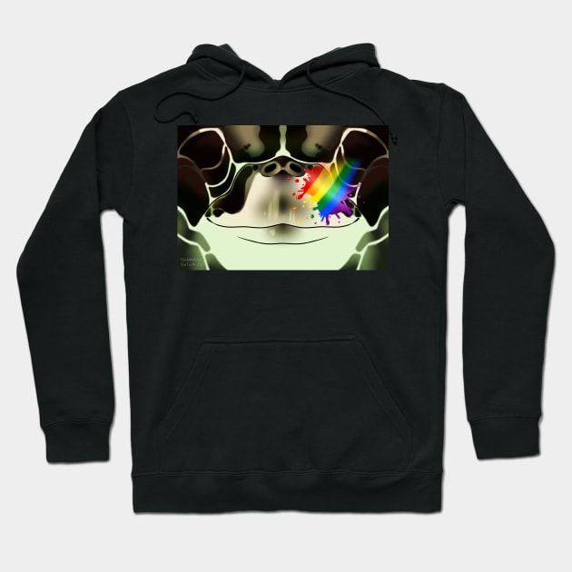 LGBT Pride Sea Turtle Face Hoodie by KeishaMaKainn